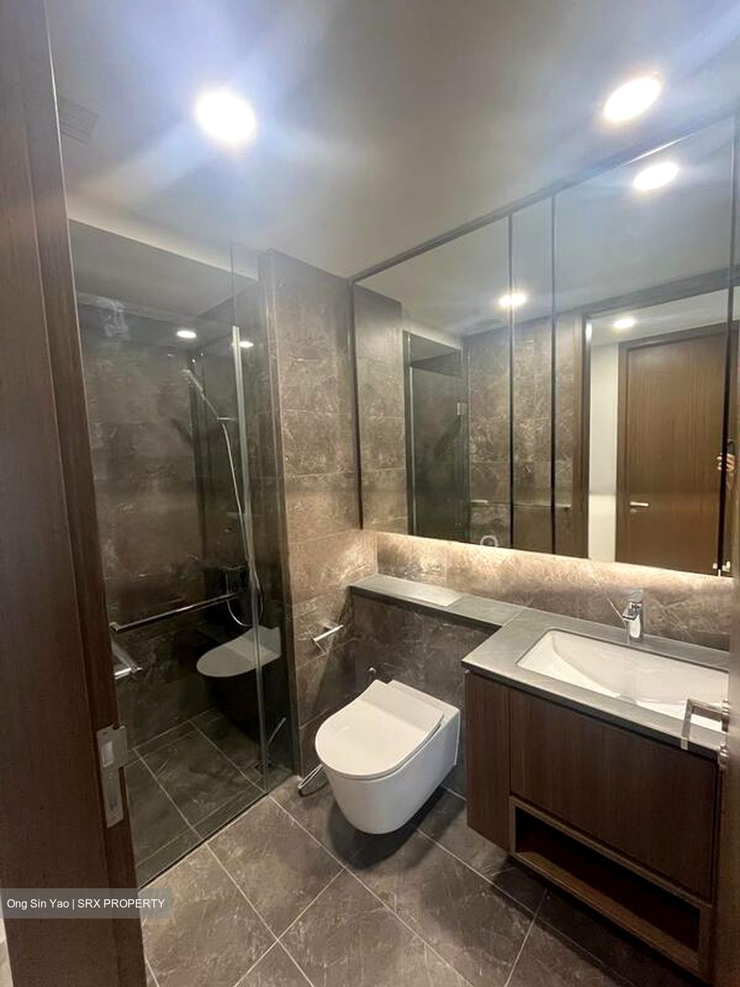 Kopar At Newton (D9), Apartment #502098921